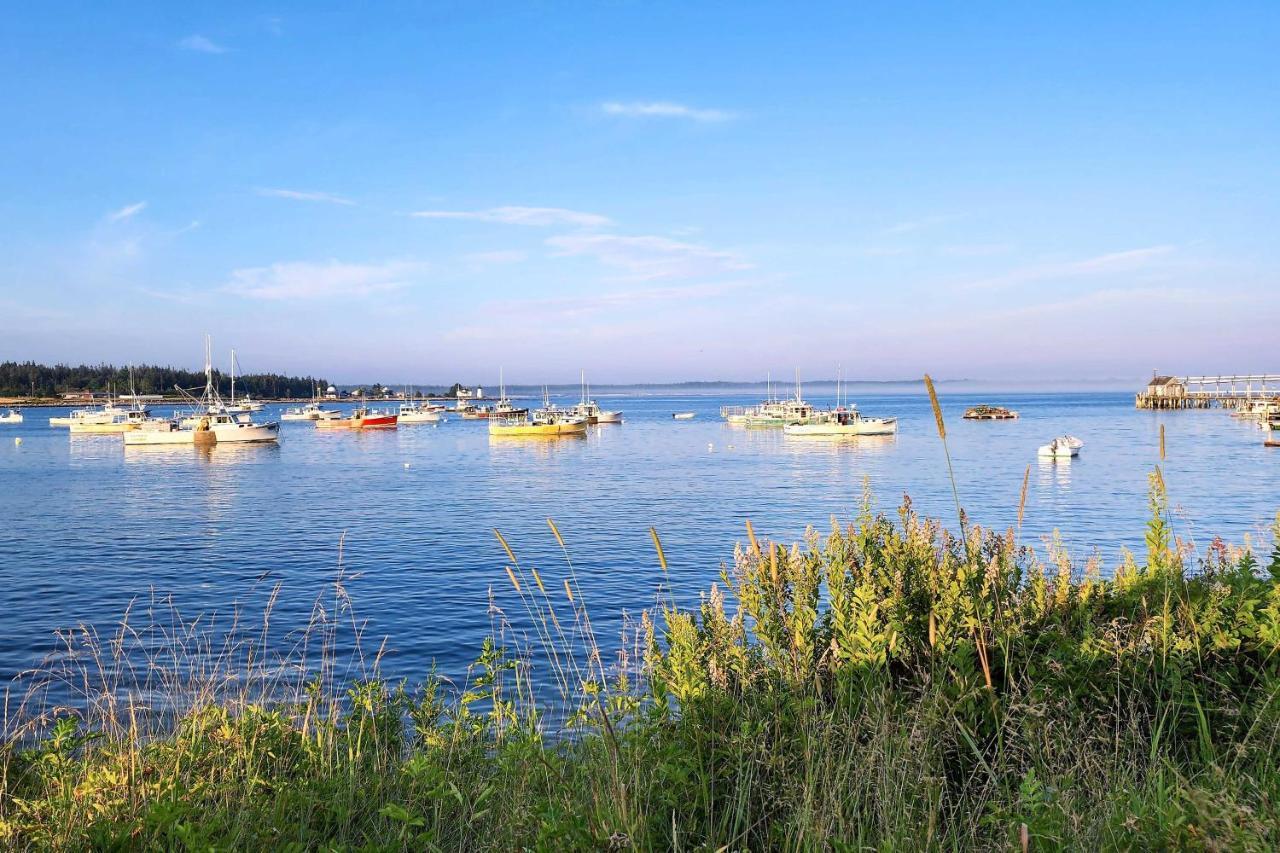 Hidden Gem Cottage Near Blue Hill Peninsula Brooklin Esterno foto