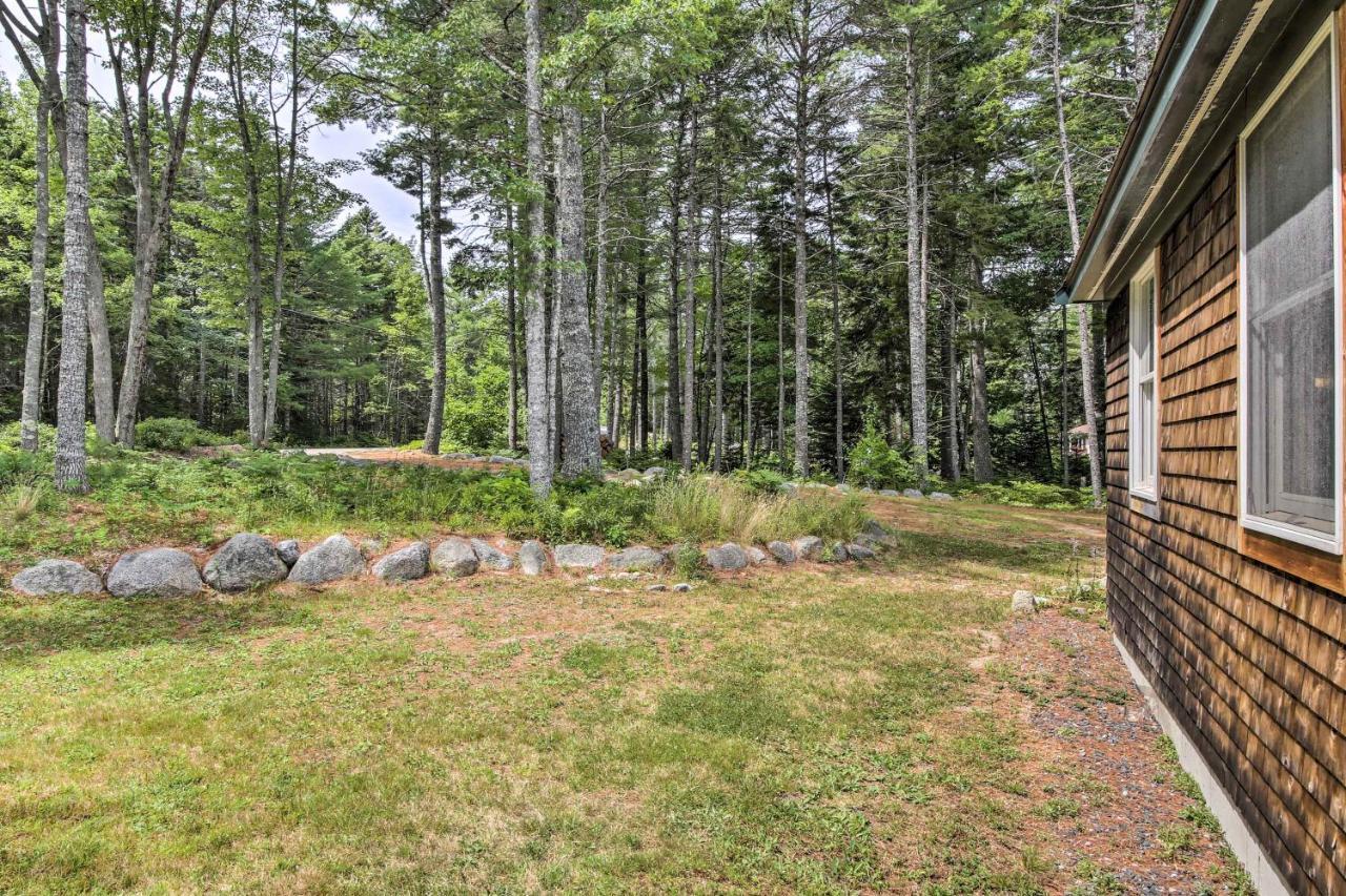 Hidden Gem Cottage Near Blue Hill Peninsula Brooklin Esterno foto