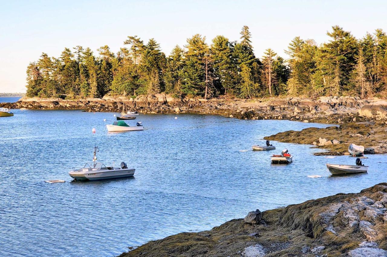 Hidden Gem Cottage Near Blue Hill Peninsula Brooklin Esterno foto