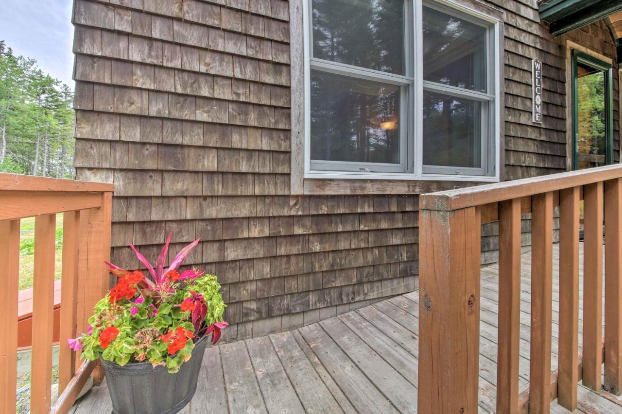 Hidden Gem Cottage Near Blue Hill Peninsula Brooklin Esterno foto